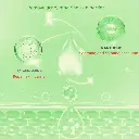 20231124-165528.webp