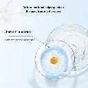4.webp