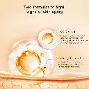 3 (2).webp